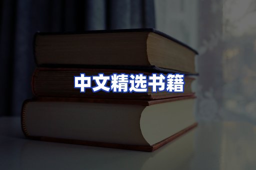 中文精选书籍